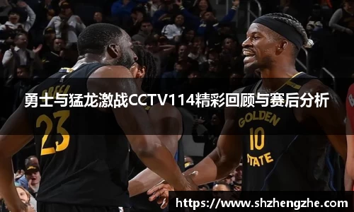勇士与猛龙激战CCTV114精彩回顾与赛后分析